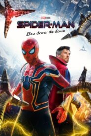 Spider-Man: Bez drogi do domu Cały Film HDRip 2021 Lektor PL