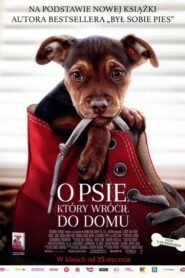 O psie, który wrócił do domu Cały Film HDRip 2019 Lektor PL