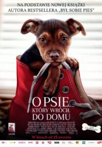 O psie, który wrócił do domu Cały Film HDRip 2019 Lektor PL