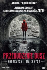 Przebudzenie dusz Cały Film HDRip 2018 Lektor PL