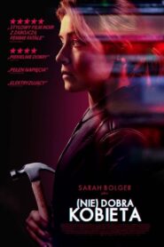 (Nie)dobra kobieta Cały Film HDRip 2019 Lektor PL