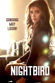 Nightbird Cały Film HDRip 2023 Lektor PL