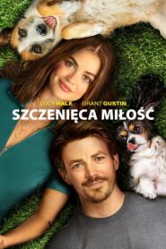 Szczenięca miłość Cały Film HDRip 2023 Lektor PL