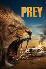 Prey Cały Film HDRip 2024 Lektor PL