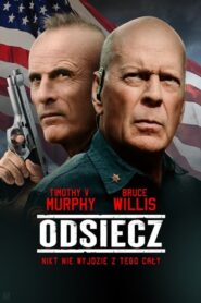 Odsiecz Cały Film HDRip 2022 Lektor PL