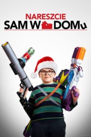 Nareszcie sam w domu Cały Film HDRip 2021 Lektor PL