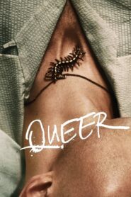 Queer Cały Film HDRip 2024 Lektor PL