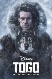 Togo Cały Film HDRip 2019 Lektor PL