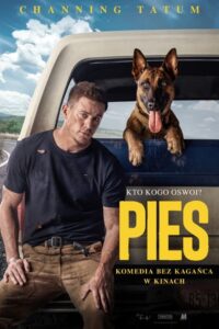 Pies Cały Film HDRip 2022 Lektor PL