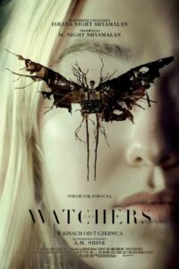 The Watchers Cały Film HDRip 2024 Lektor PL