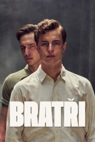 Bracia Cały Film HDRip 2023 Lektor PL