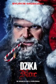 Dzika noc Cały Film HDRip 2022 Lektor PL