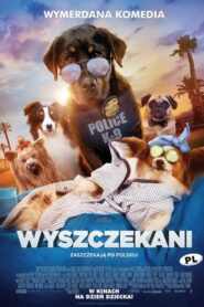 Wyszczekani Cały Film HDRip 2018 Lektor PL