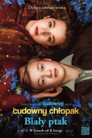 Cudowny chłopak. Biały ptak Cały Film HDRip 2023 Lektor PL