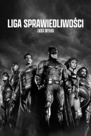 Liga Sprawiedliwości Zacka Snydera Cały Film HDRip 2021 Lektor PL