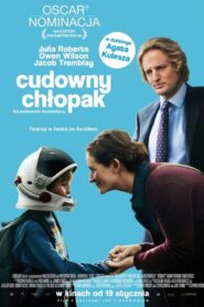 Cudowny chłopak Cały Film HDRip 2017 Lektor PL