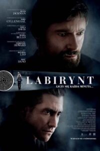 Labirynt Cały Film HDRip 2013 Lektor PL