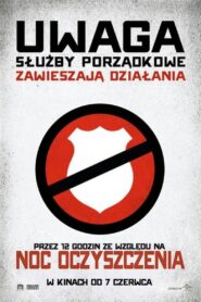 Noc oczyszczenia Cały Film HDRip 2013 Lektor PL