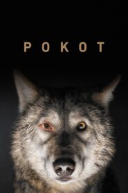 Pokot Cały Film HDRip 2017 Lektor PL