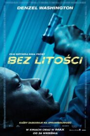 Bez Litości Cały Film HDRip 2014 Lektor PL