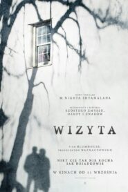 Wizyta Cały Film HDRip 2015 Lektor PL