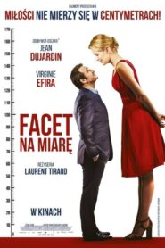 Facet na miarę Cały Film HDRip 2016 Lektor PL