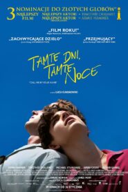 Tamte dni, tamte noce Cały Film HDRip 2017 Lektor PL