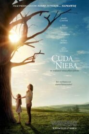 Cuda z nieba Cały Film HDRip 2016 Lektor PL