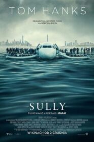 Sully Cały Film HDRip 2016 Lektor PL