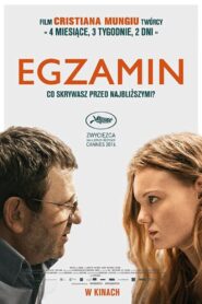 Egzamin Cały Film HDRip 2016 Lektor PL