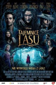 Tajemnice lasu Cały Film HDRip 2014 Lektor PL