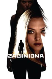 Zaginiona Cały Film HDRip 2012 Lektor PL