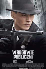 Wrogowie Publiczni Cały Film HDRip 2009 Lektor PL