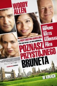 Poznasz przystojnego bruneta Cały Film HDRip 2010 Lektor PL