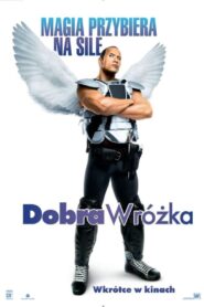 Dobra wróżka Cały Film HDRip 2010 Lektor PL