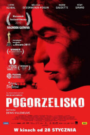 Pogorzelisko Cały Film HDRip 2010 Lektor PL