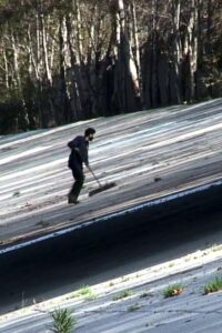 Dystopia Cały Film HDRip 2008 Lektor PL