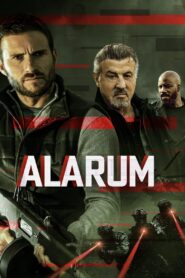 Alarum Cały Film HDRip 2025 Lektor PL