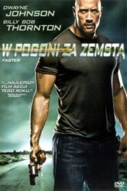 W pogoni za zemstą Cały Film HDRip 2010 Lektor PL