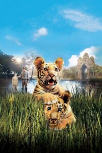 Dwaj bracia Cały Film HDRip 2004 Lektor PL