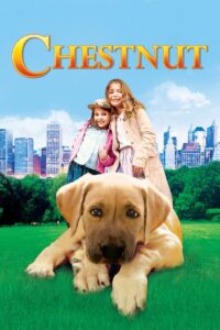 Chestnut: Hero of Central Park Cały Film HDRip 2004 Lektor PL