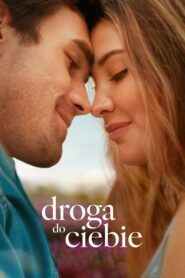 Droga do ciebie Cały Film HDRip 2025 Lektor PL